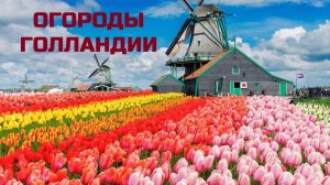 ОГОРОДЫ ГОЛЛАНДИИ.