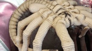 Лицехват (Вязание крючком, Вязаные игрушки, Чужой Facehugger)