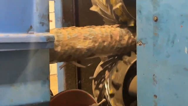 Siberia group company