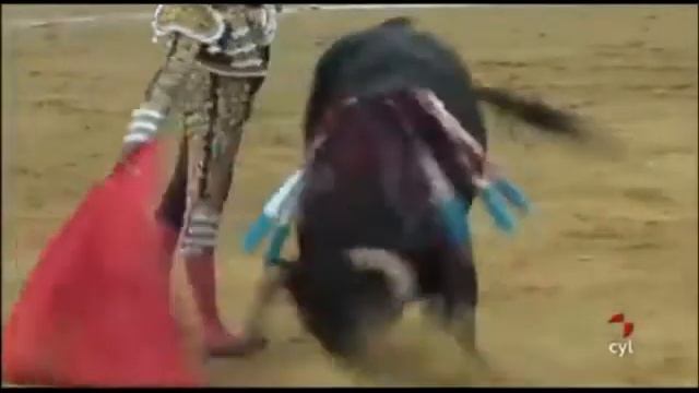 Gala de Federacion Taurina de Castilla  y Leon 2012.premio a el programa grana y oro смотреть онлайн