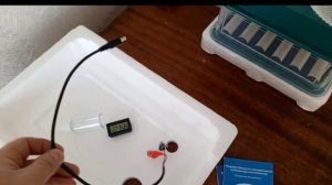 Выращиваем перепелов с нуля. Покупка инкубатора.