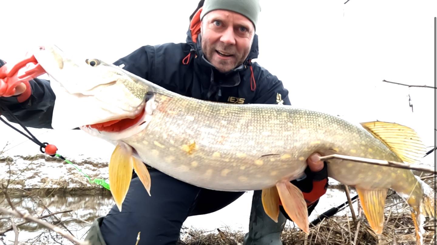 ОМУТ ПОРАДОВАЛ ХОРОШИМИ ЩУКАМИ! Рыбалка на СПИННИНГ в ЯНВАРЕ! Малые реки, ловля ЩУКИ на ВОБЛЕРЫ! смотреть онлайн
