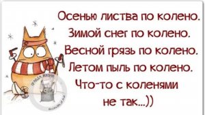 Осенью листва по колено.

Зимой снег по колено.
Весной грязь по колено.Летом пыль по колен