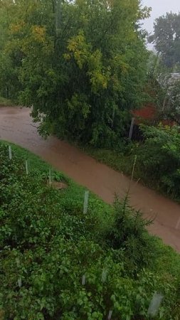 Течет ручей по улице - потоп во время дождя.