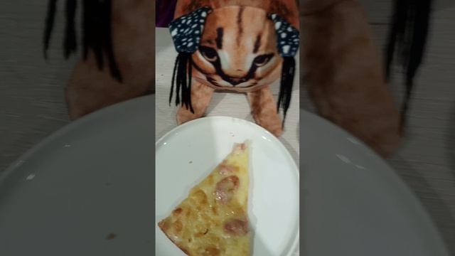 Суши монстрс пицца🍕, чай ☕ часть третья
