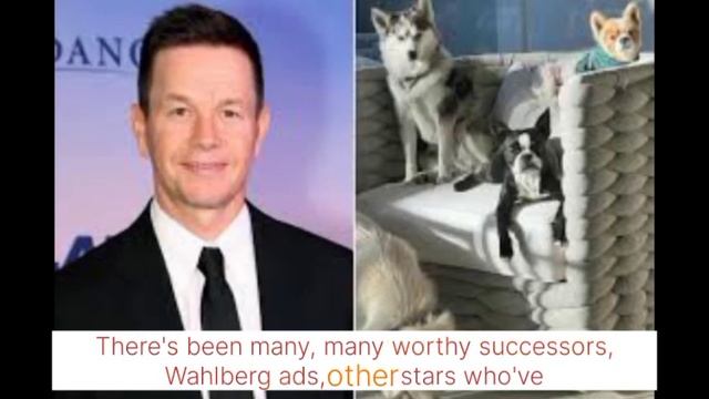 Mark Wahlberg Calls Fellow Calvin Klein Model Jeremy@TheUSCN смотреть онлайн