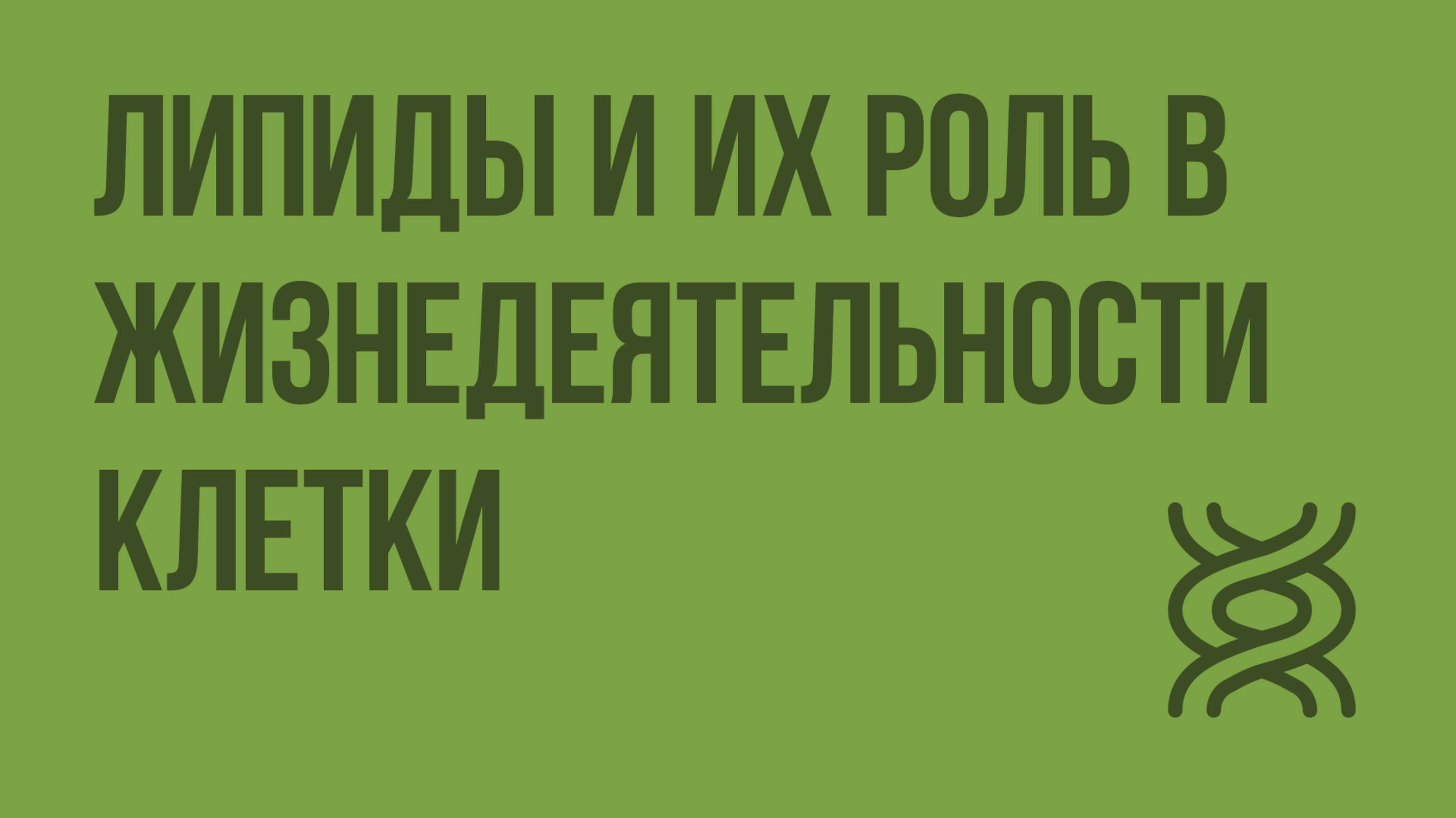 Липиды и их роль в жизнедеятельности клетки. Видеоурок по биологии 10 класс