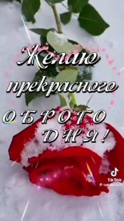 🕰️Пусть дом будет тёплым, родные люди - здоровы, а наши сердца спокойны.Елена Митрофанова