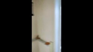 backrooms_found_footage_hd