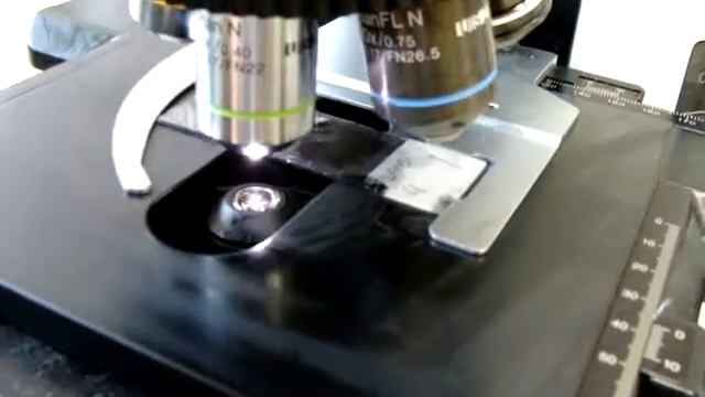 Stavba mikroskopu смотреть онлайн