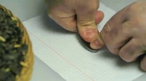 КОРМ ДЛЯ ПТИЦ И БЕЛОК