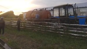 Поилка для овец.