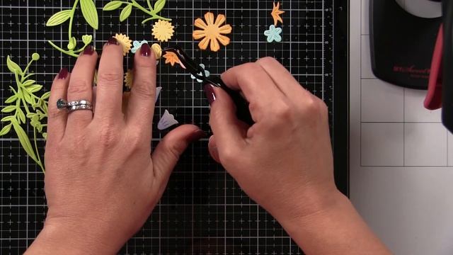 Clean & Simple Sweet Blossoms w/Dawn смотреть онлайн