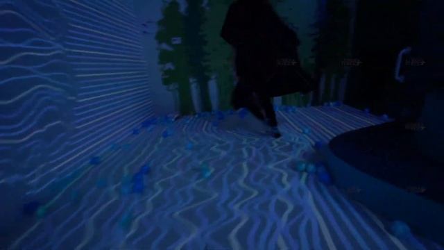 An Interactive Immersive Museum and Play Space for Kids  Wild Child  Lumen and Forge