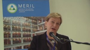 Meril overview & launch