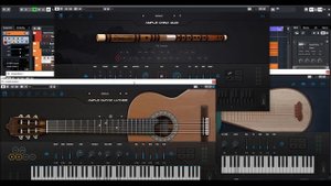 Ample sound China Qudi