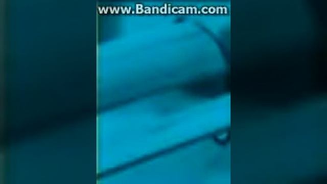 гумми бер 6 часть смотреть онлайн