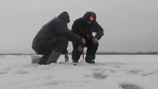 ВЕРНУЛИСЬ В КАМЫШ ГДЕ МНОГО ЩУКИ. ОПАСНЫЙ ЛЕД! Жерлицы, зимняя рыбалка на щуку.