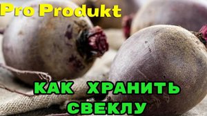 Как хранить свеклу в погребе, холодильнике и вареную