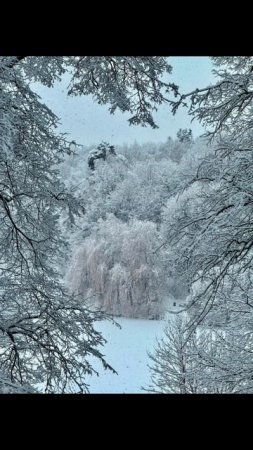 🌨️🌲Усадьба Царицыно в обьятиях снежной зимы (декабрь 2024) #усадьбацарицыно #декабрь2024 #зима2024