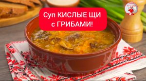 Суп КИСЛЫЕ ЩИ с ГРИБАМИ! Вкусно и полезно!