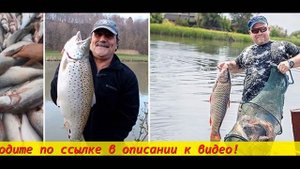 Blood booster активатор клева Купить активатор клева для рыбалки
