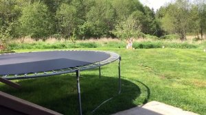 Охота На Белку с воздушки