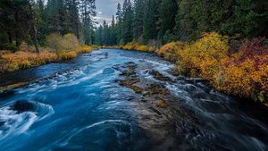 Целостность человека