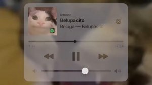 Beluga-Belupacito (official video)