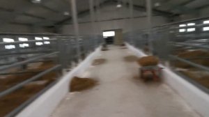 Эвика-Агро г.Тюмень