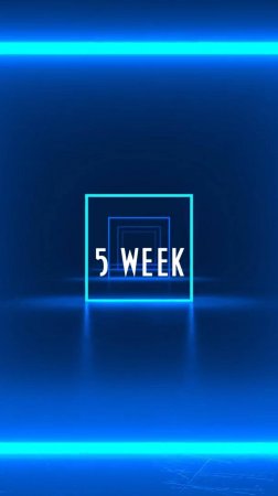 5 week 25