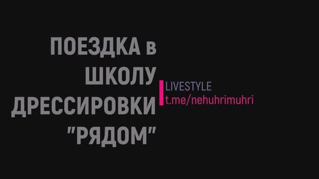 ПОЕЗДКА в ШКОЛУ ДРЕССИРОВКИ "РЯДОМ"