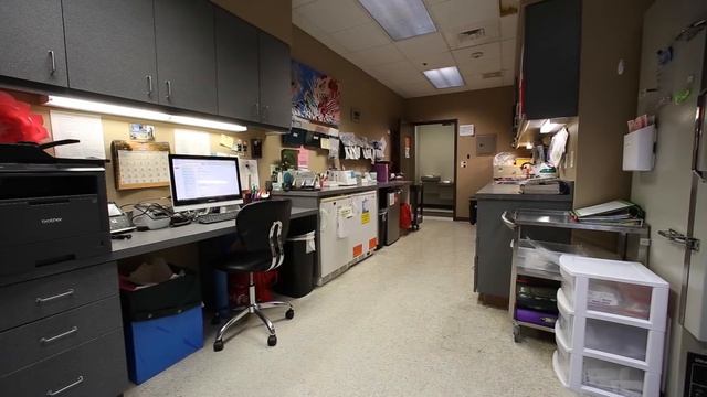 ERG - Woodland International Research Group смотреть онлайн