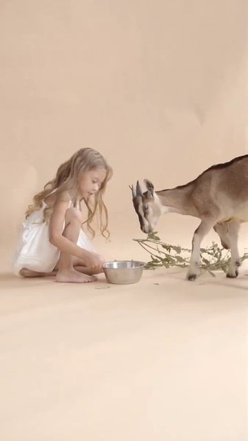 Хотите такой фотосет? Ферма коз. Экскурсия для детей. #shorts