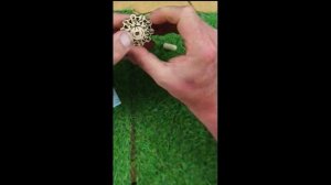 One Minute Project - Ugears Universal Game Counter #Shorts