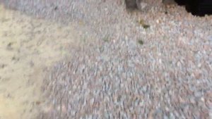 39 сек, опять их слышно. во все видео вместились мои сопровождающие опекуны!!!