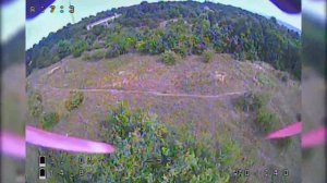 Full flight DVR [ RS1606 3300KV Dalprop T4045 4S ]