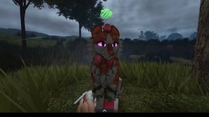 РОЛИ ВКУЕ КАК РОЛИТЬ ЗА НИХ?! Коты воители -роблокс #warrior cats 🐈⬛