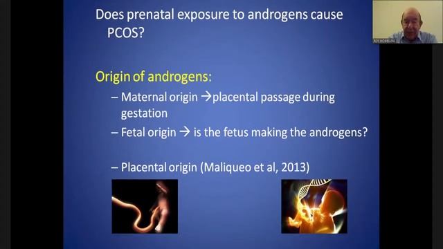 Ustalardan Konferanslar Serisi - 1    24 Aralık 2020 смотреть онлайн