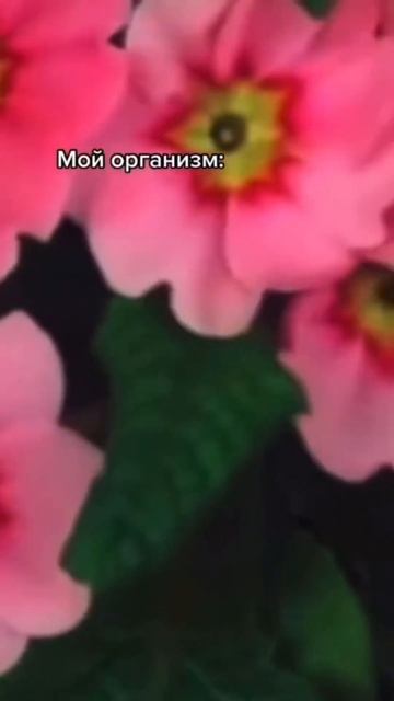 Когда решил перейти на новый жанр #БиблиотекаНаСолнечном #Норильск #Библиотека #НовыйЖанр