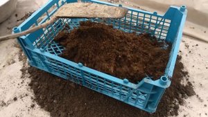 Как не сделать ошибок начинающим./How not to make mistakes for beginners