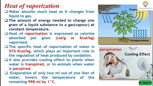 Heat of Vaporization, Ionization of Water, Protection: Properties of Water, Biological Molecules смотреть онлайн