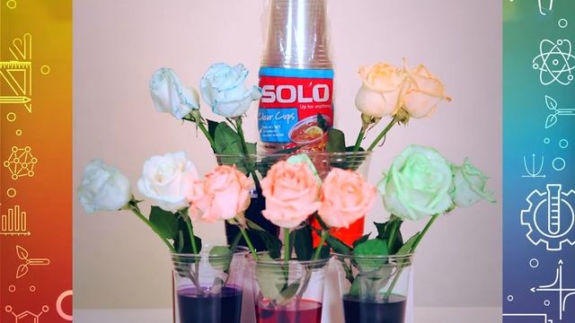 2021 STEAM Virtual  Solo  Color Flowers  Nuclear Museum