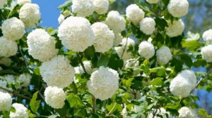 Жизнь задает задачи сложные | Юность Иисусу | христианская музыка