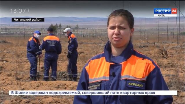 Добровольцы ВСКС высадили в Забайкалье 102 тысячи молодых деревьев смотреть онлайн