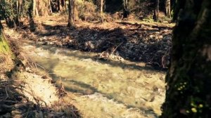 Откровение старца: стратегия Духа и религия диавола