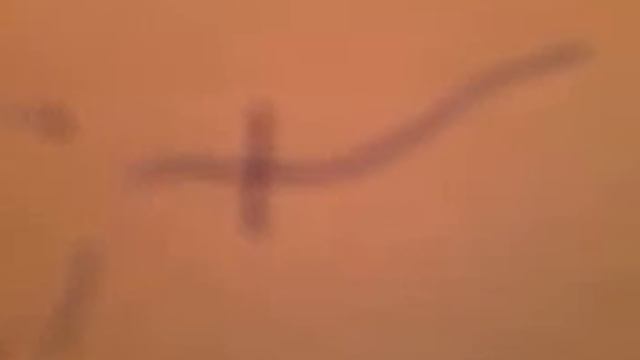 Излучения. Сезон 2. Серия 7 смотреть онлайн