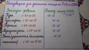 ФЕВРАЛЬ 2025: КОГДА Заложить Яйца  Домашней Птицы  на Инкубацию?