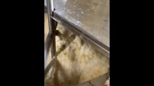 Котёл (тестомес) для заварного теста на 160 л.