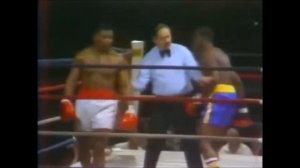 Защита Тайсона